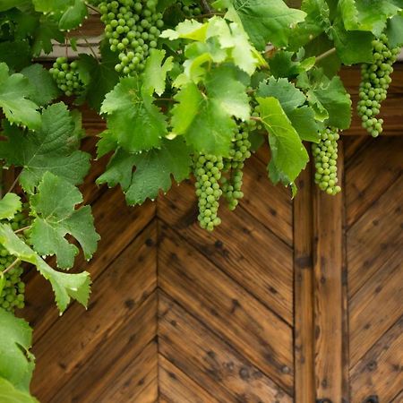 Vinonima Vendeghaz Villa Hegymagas Екстериор снимка
