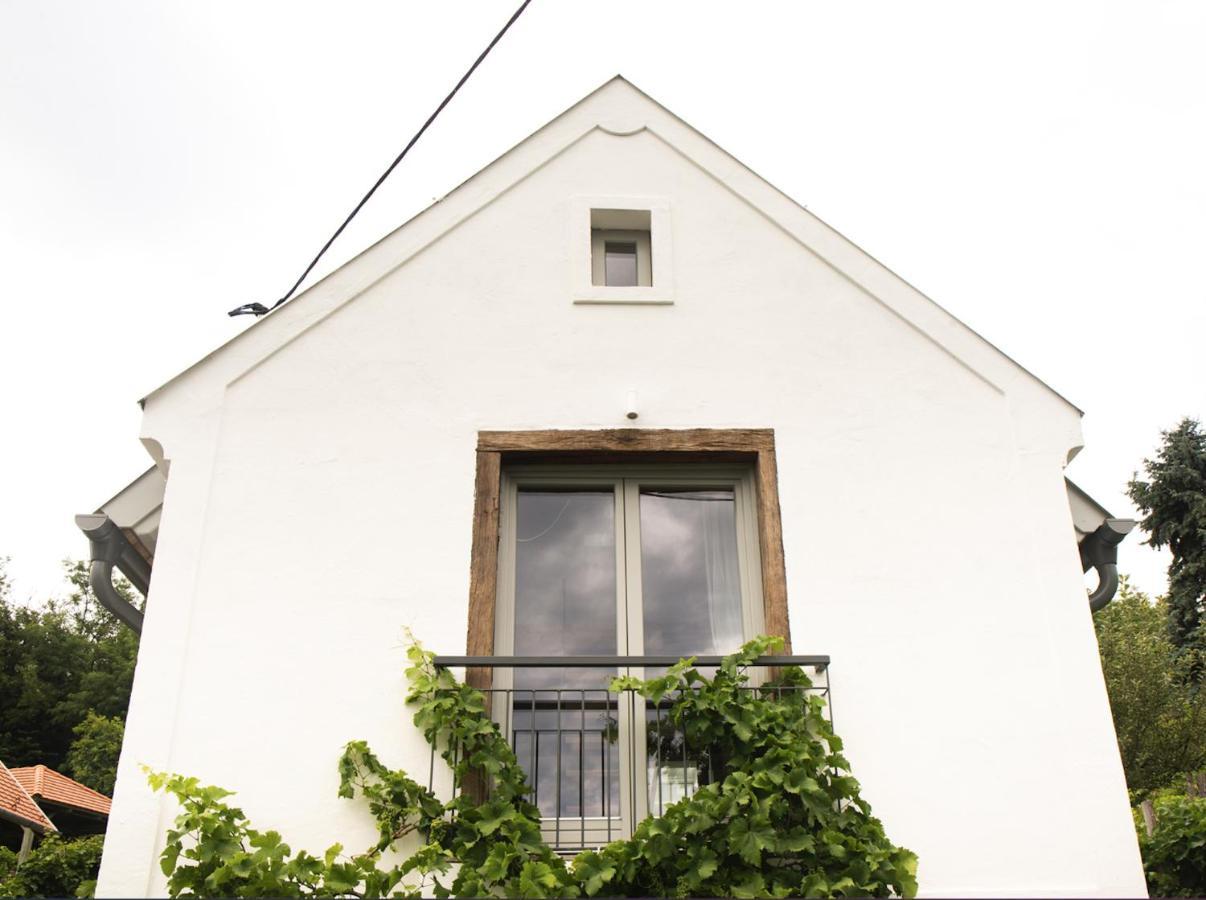 Vinonima Vendeghaz Villa Hegymagas Екстериор снимка